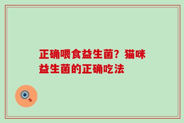 正确喂食益生菌？猫咪益生菌的正确吃法
