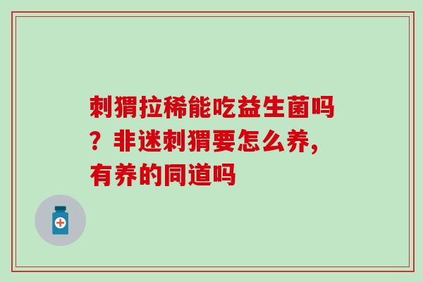 刺猬拉稀能吃益生菌吗？非迷刺猬要怎么养,有养的同道吗
