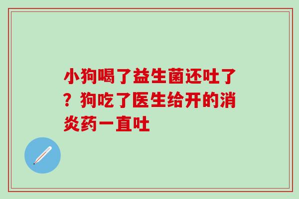小狗喝了益生菌还吐了?狗吃了医生给开的药一直吐 小狗喝了益生菌还吐了?狗吃了医生给开的药一直吐