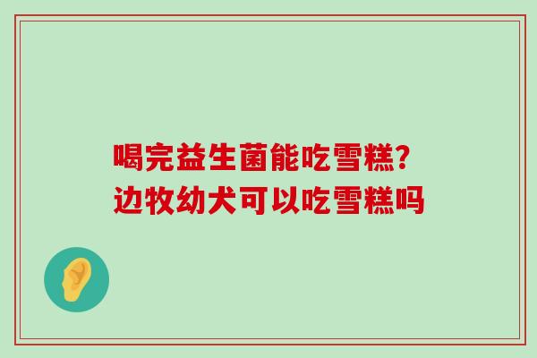 喝完益生菌能吃雪糕？边牧幼犬可以吃雪糕吗