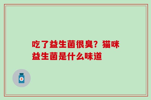 吃了益生菌很臭？猫咪益生菌是什么味道
