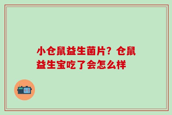 小仓鼠益生菌片？仓鼠益生宝吃了会怎么样