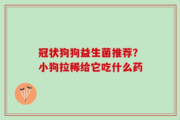 冠状狗狗益生菌推荐？小狗拉稀给它吃什么药
