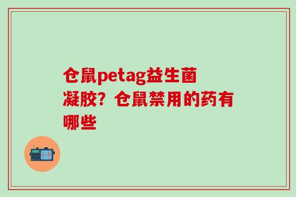 仓鼠petag益生菌凝胶？仓鼠禁用的药有哪些