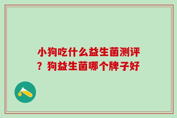 小狗吃什么益生菌测评？狗益生菌哪个牌子好
