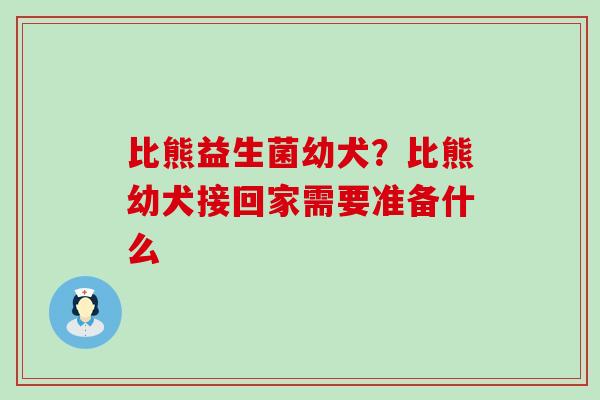 比熊益生菌幼犬？比熊幼犬接回家需要准备什么