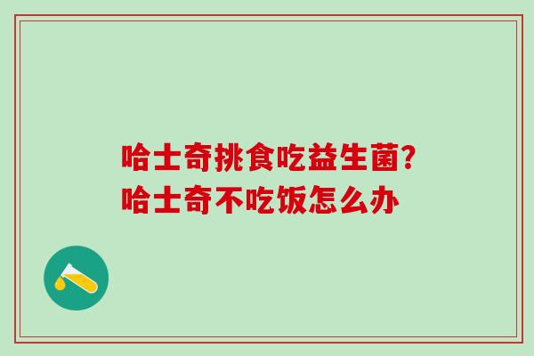 哈士奇挑食吃益生菌？哈士奇不吃饭怎么办