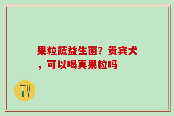 果粒蔬益生菌?贵宾犬,可以喝真果粒吗 果粒蔬益生菌?贵宾犬,可以喝真果粒吗