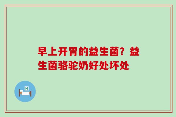 早上开胃的益生菌？益生菌骆驼奶好处坏处