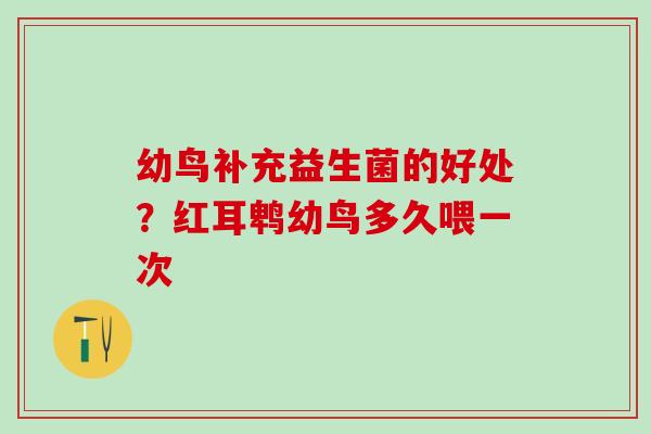 幼鸟补充益生菌的好处？红耳鹎幼鸟多久喂一次