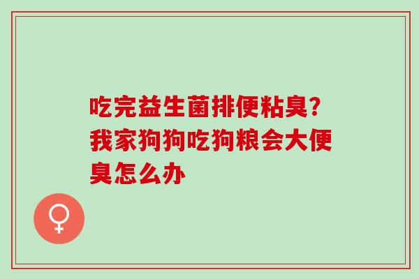 吃完益生菌排便粘臭？我家狗狗吃狗粮会大便臭怎么办