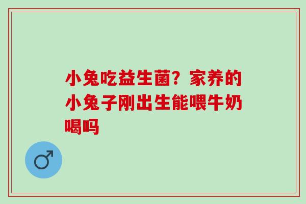小兔吃益生菌？家养的小兔子刚出生能喂牛奶喝吗