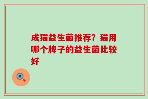 成猫益生菌推荐？猫用哪个牌子的益生菌比较好