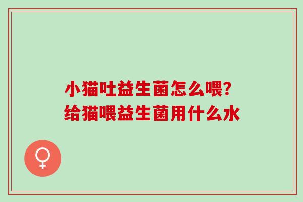 小猫吐益生菌怎么喂？给猫喂益生菌用什么水