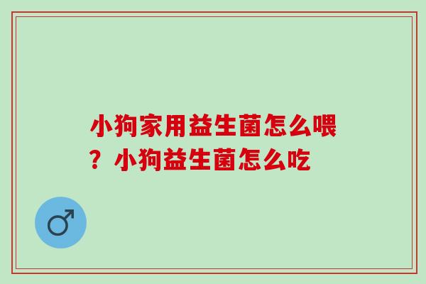 小狗家用益生菌怎么喂?小狗益生菌怎么吃 小狗家用益生菌怎么喂?小狗益生菌怎么吃