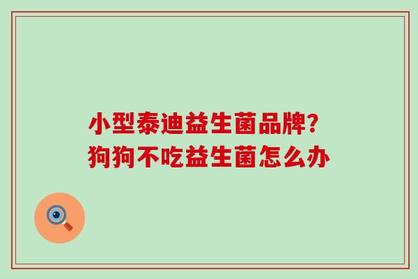 小型泰迪益生菌品牌?狗狗不吃益生菌怎么办 小型泰迪益生菌品牌?狗狗不吃益生菌怎么办