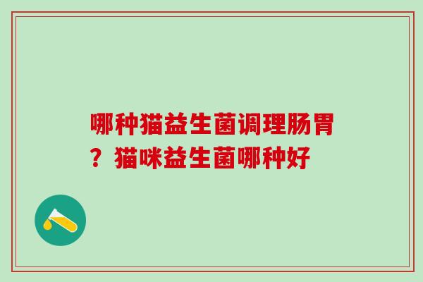 哪种猫益生菌调理肠胃？猫咪益生菌哪种好