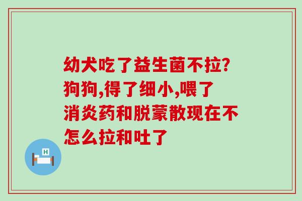 幼犬吃了益生菌不拉？狗狗,得了细小,喂了消炎药和脱蒙散现在不怎么拉和吐了