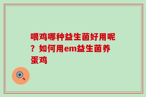 喂鸡哪种益生菌好用呢？如何用em益生菌养蛋鸡