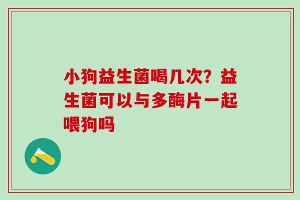 小狗益生菌喝几次？益生菌可以与多酶片一起喂狗吗