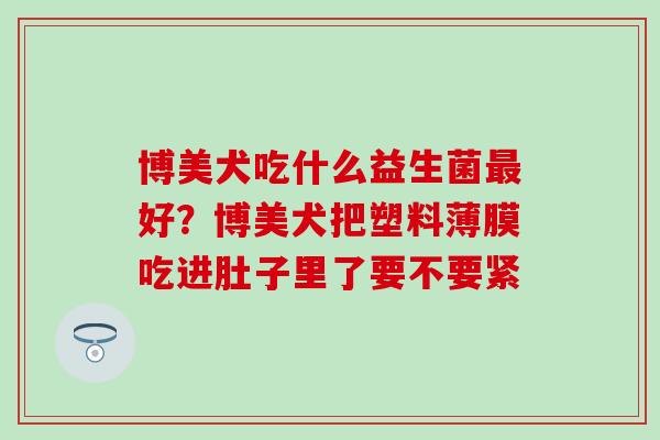 博美犬吃什么益生菌最好？博美犬把塑料薄膜吃进肚子里了要不要紧