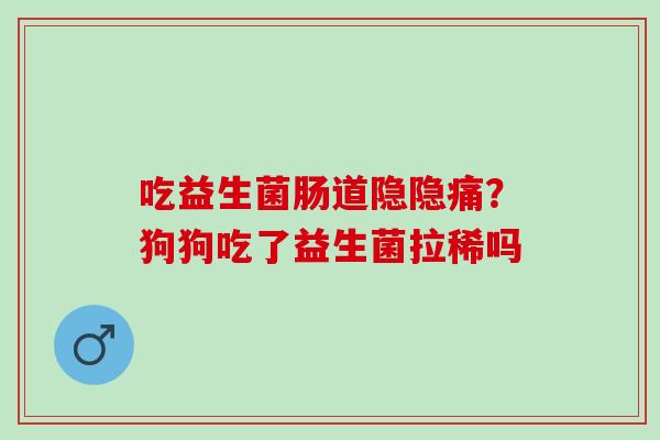 吃益生菌肠道隐隐痛？狗狗吃了益生菌拉稀吗