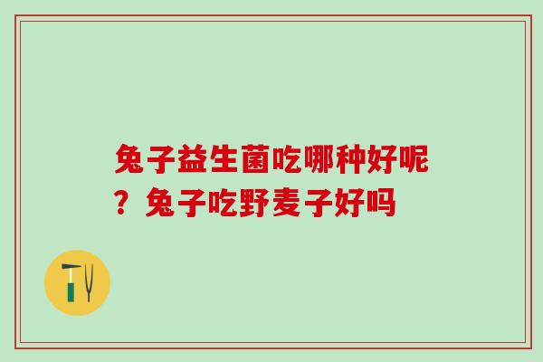 兔子益生菌吃哪种好呢？兔子吃野麦子好吗