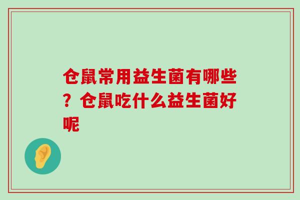 仓鼠常用益生菌有哪些?仓鼠吃什么益生菌好呢 仓鼠常用益生菌有哪些?仓鼠吃什么益生菌好呢