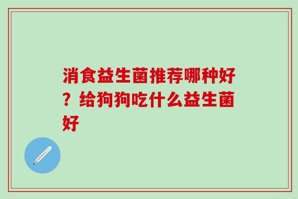 消食益生菌推荐哪种好？给狗狗吃什么益生菌好