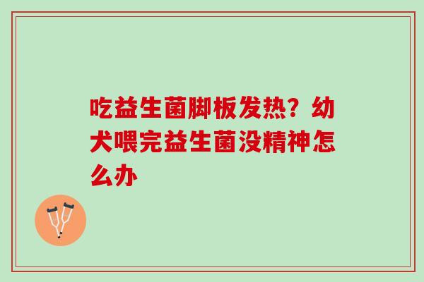 吃益生菌脚板发热？幼犬喂完益生菌没精神怎么办