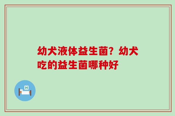 幼犬液体益生菌？幼犬吃的益生菌哪种好