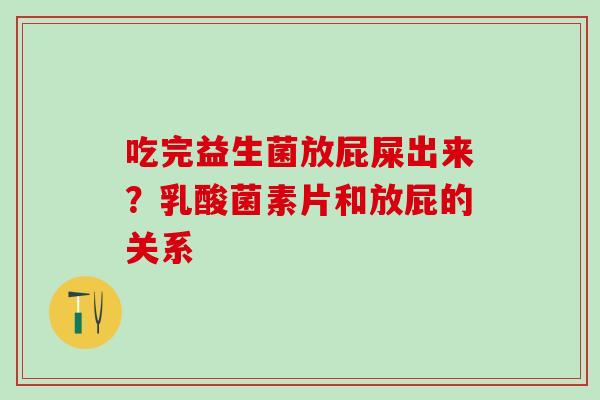 吃完益生菌放屁屎出来？乳酸菌素片和放屁的关系