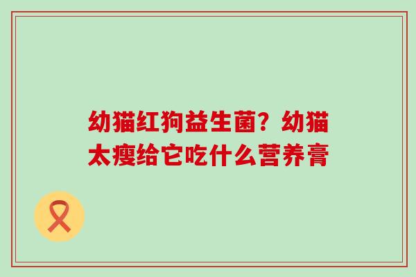 幼猫红狗益生菌?幼猫太瘦给它吃什么营养膏 幼猫红狗益生菌?幼猫太瘦给它吃什么营养膏