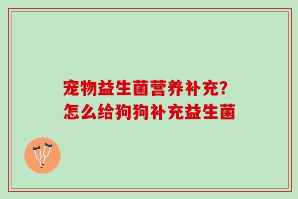 宠物益生菌营养补充？怎么给狗狗补充益生菌
