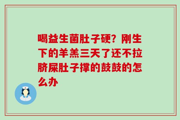 喝益生菌肚子硬?刚生下的羊羔三天了还不拉脐屎肚子撑的鼓鼓的怎么办 喝益生菌肚子硬?刚生下的羊羔三天了还不拉脐屎肚子撑的鼓鼓的怎么办