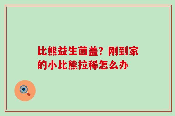 比熊益生菌盖？刚到家的小比熊拉稀怎么办