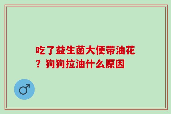 吃了益生菌大便带油花？狗狗拉油什么原因