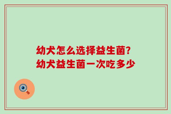 幼犬怎么选择益生菌?幼犬益生菌一次吃多少 幼犬怎么选择益生菌?幼犬益生菌一次吃多少