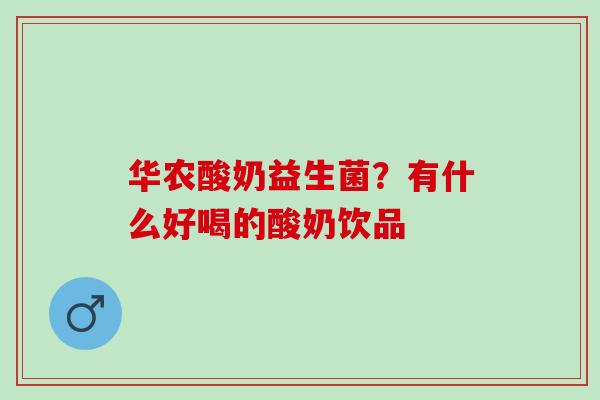 华农酸奶益生菌？有什么好喝的酸奶饮品