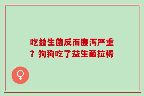 吃益生菌反而腹泻严重？狗狗吃了益生菌拉稀