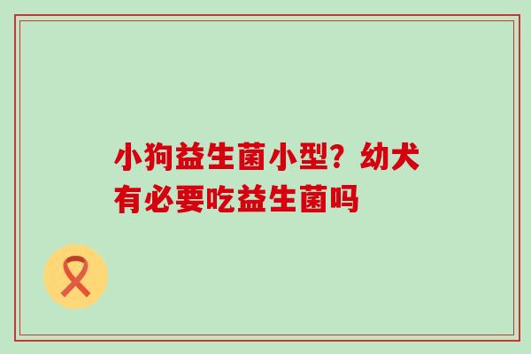小狗益生菌小型？幼犬有必要吃益生菌吗