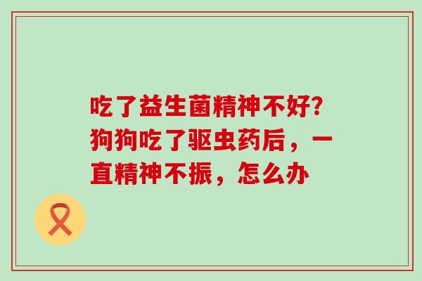 吃了益生菌精神不好？狗狗吃了驱虫药后，一直精神不振，怎么办