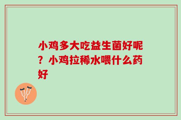 小鸡多大吃益生菌好呢?小鸡拉稀水喂什么药好 小鸡多大吃益生菌好呢?小鸡拉稀水喂什么药好