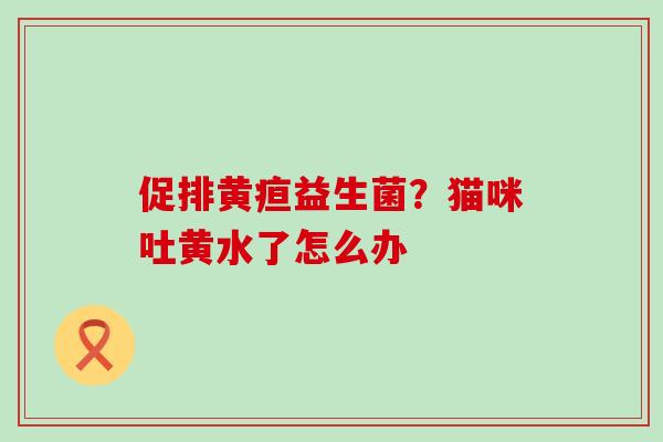 促排黄疸益生菌？猫咪吐黄水了怎么办