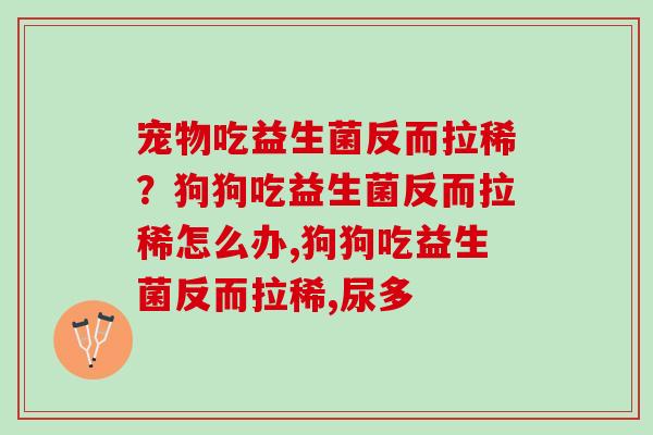 宠物吃益生菌反而拉稀？狗狗吃益生菌反而拉稀怎么办,狗狗吃益生菌反而拉稀,尿多