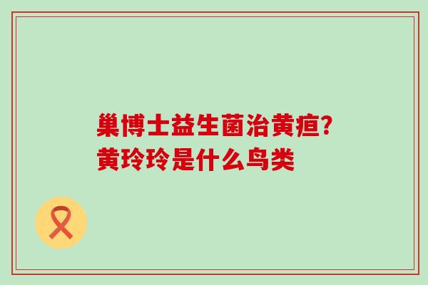 巢博士益生菌治黄疸？黄玲玲是什么鸟类