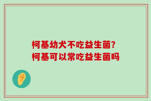 柯基幼犬不吃益生菌？柯基可以常吃益生菌吗