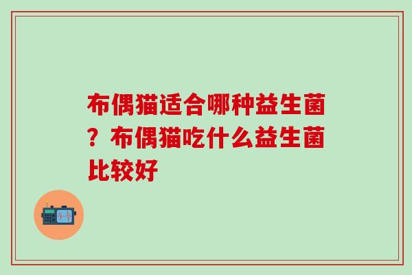 布偶猫适合哪种益生菌？布偶猫吃什么益生菌比较好