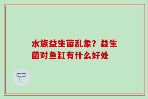 水族益生菌乱象？益生菌对鱼缸有什么好处