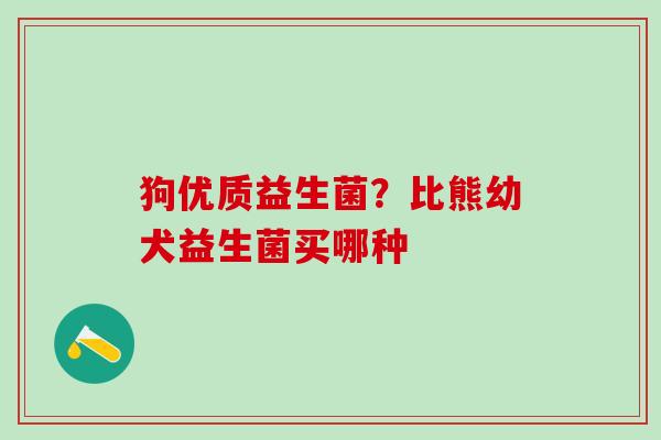 狗优质益生菌？比熊幼犬益生菌买哪种